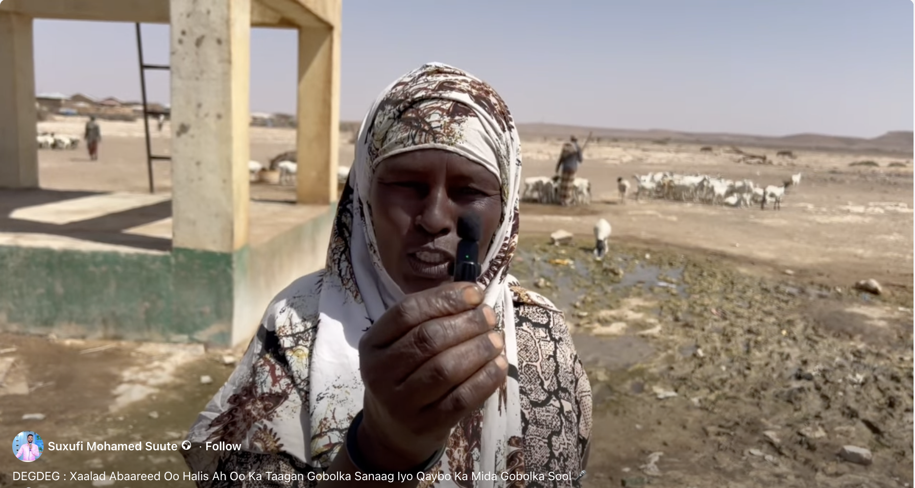 On 3 February 2026, local journalist Mohamed Suute published his report that discussed drought conditions in the Sool and Sanaag regions. | Photo/Screenshot/Facebook.